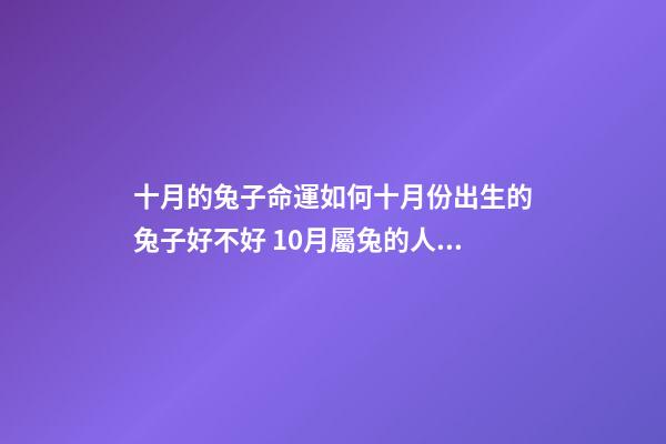 十月的兔子命運如何十月份出生的兔子好不好 10月屬兔的人命好嗎 10月出生屬兔人命運怎么樣-第1張-觀點-玄機派